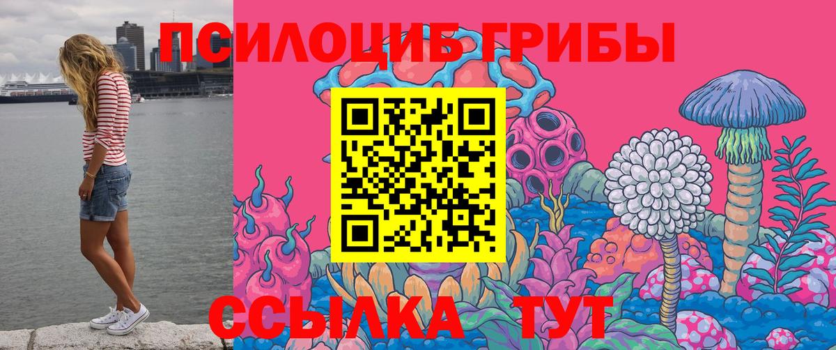 Горно-Алтайск  Галлюциногенные грибы ЛСД  Вход с VPN 